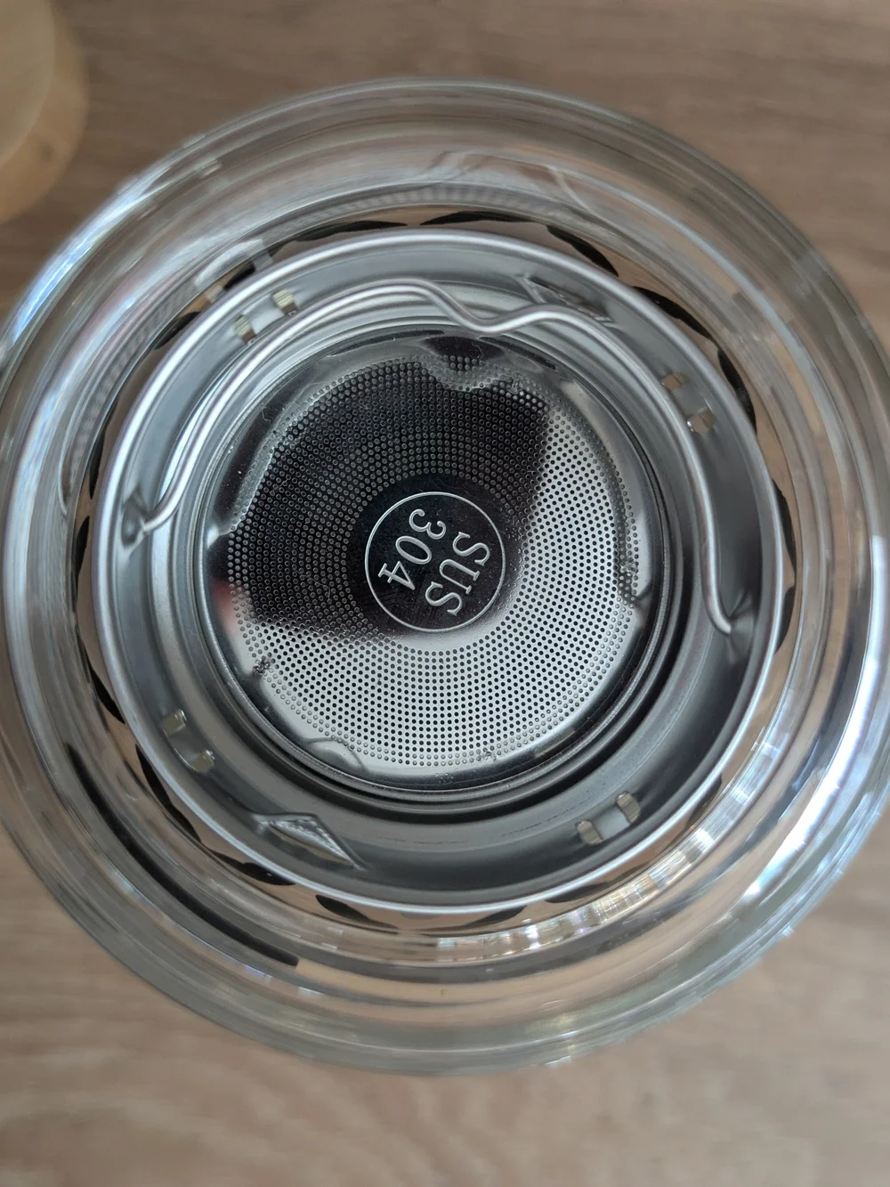 NWT Anthropologie Glass Infuser Bottle